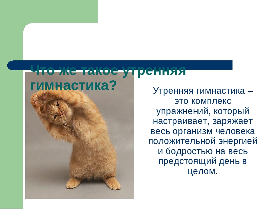 Презентация "Утренняя гимнастика в ДОУ"