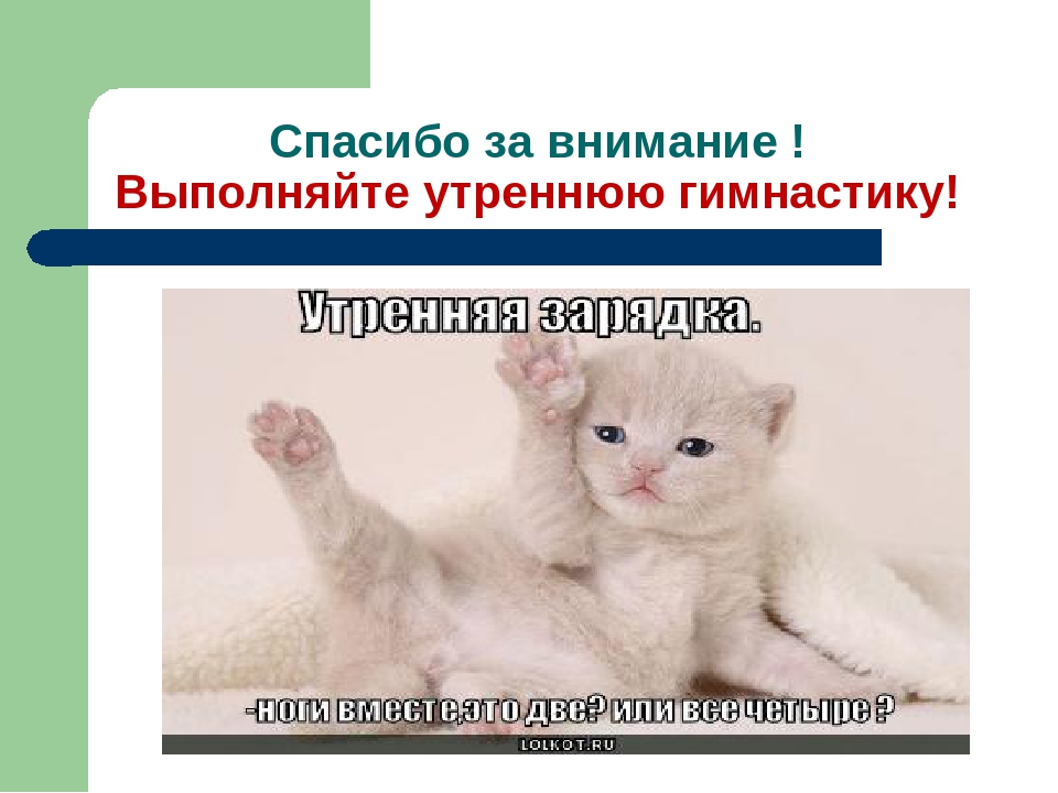Презентация "Утренняя гимнастика в ДОУ"