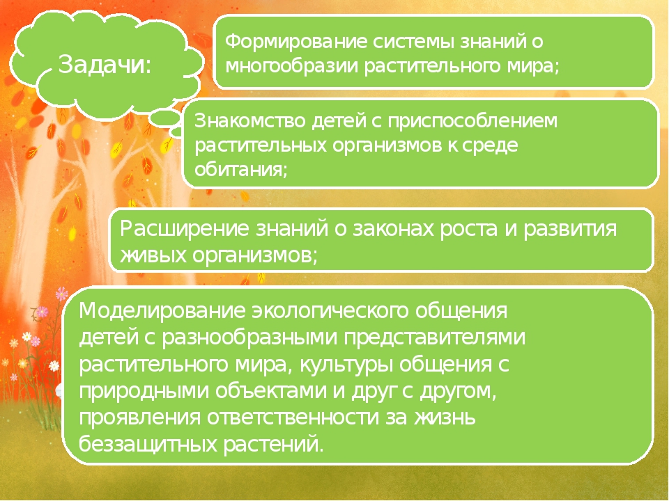 Презентация из опыта работы «Формирование экологических представлений у дошкольников в процессе ознакомления с многообразием растений».