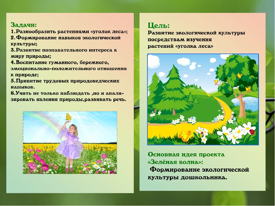 Презентация из опыта работы «Формирование экологических представлений у дошкольников в процессе ознакомления с многообразием растений».