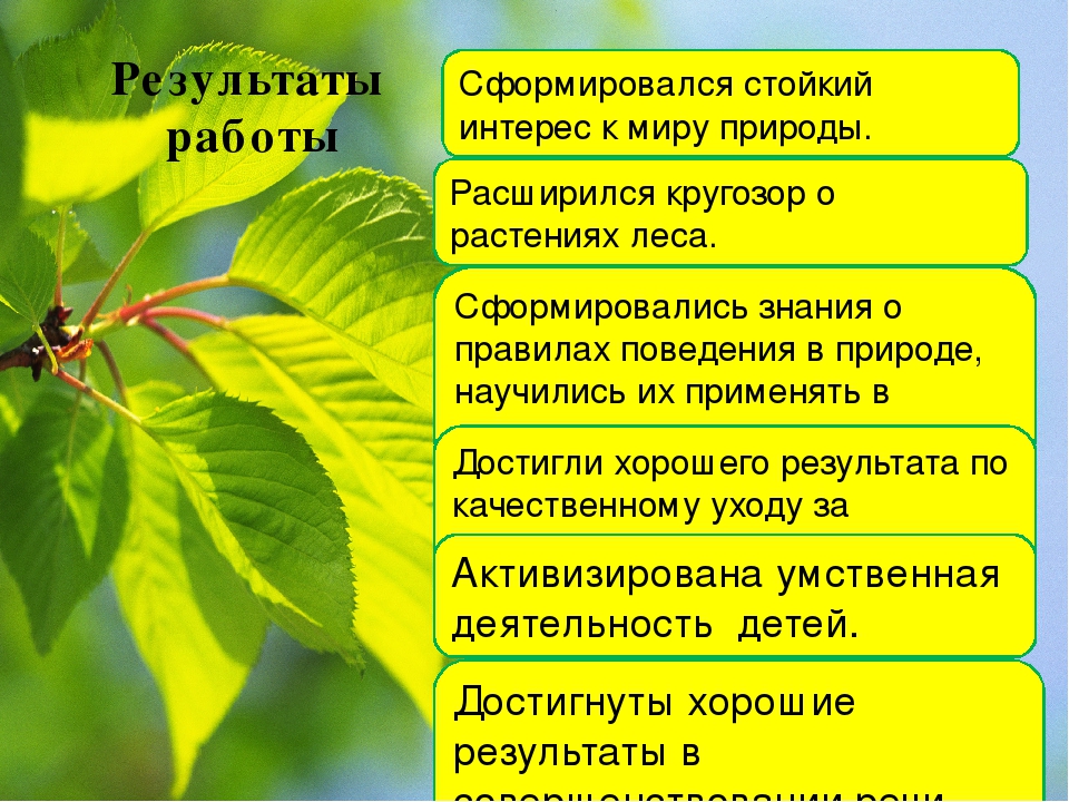 Презентация из опыта работы «Формирование экологических представлений у дошкольников в процессе ознакомления с многообразием растений».