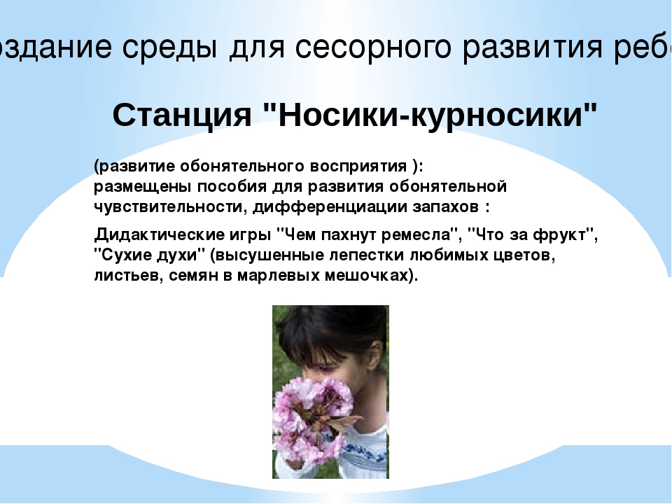 Сенсорное воспитание, как фундамент умственного развития
