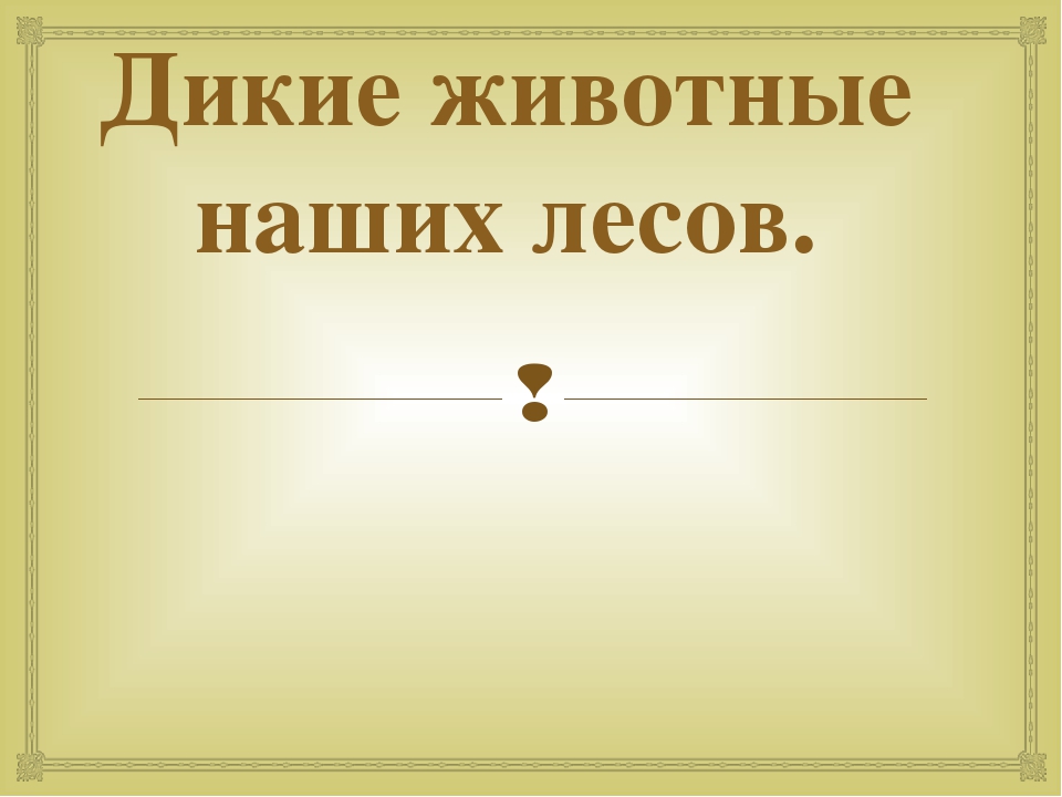 Дикие животные наших лесов