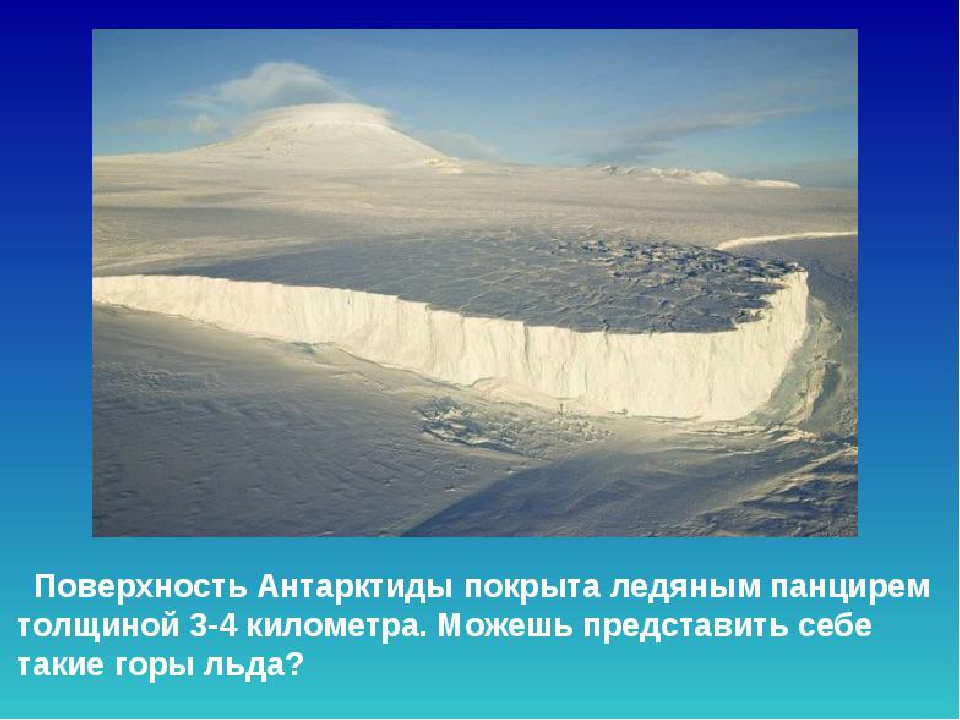 Презентация "Полюса земли" для дошкольников