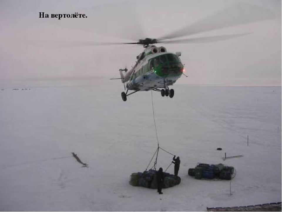 Презентация "Полюса земли" для дошкольников