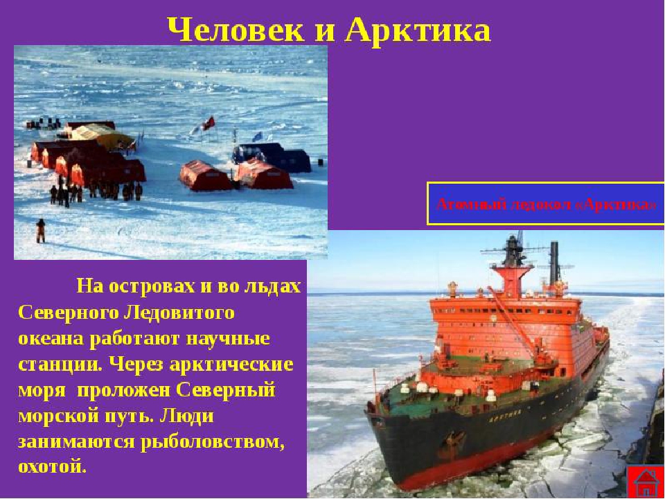 Презентация "Полюса земли" для дошкольников