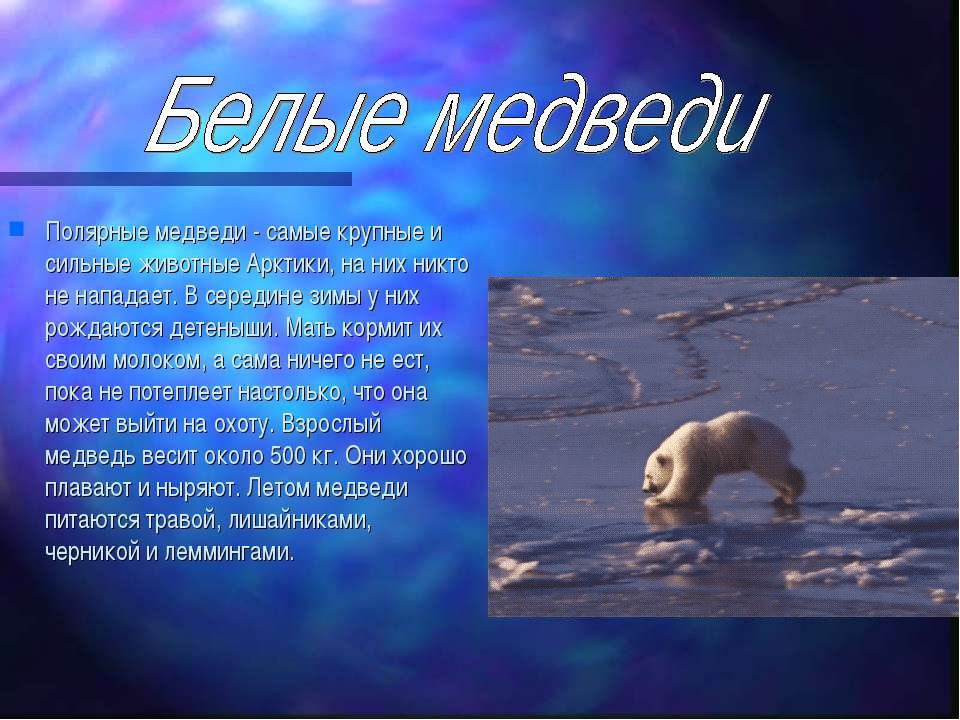 Презентация "Полюса земли" для дошкольников