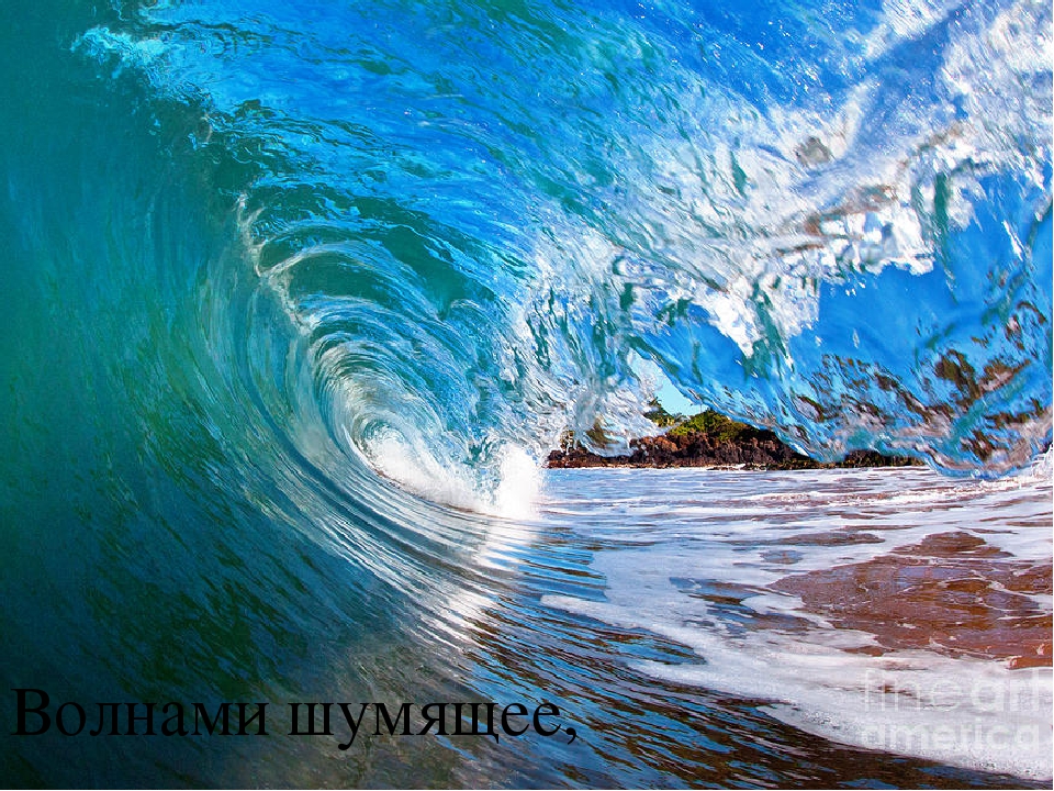 Презентация по познавательному развитию "Море"