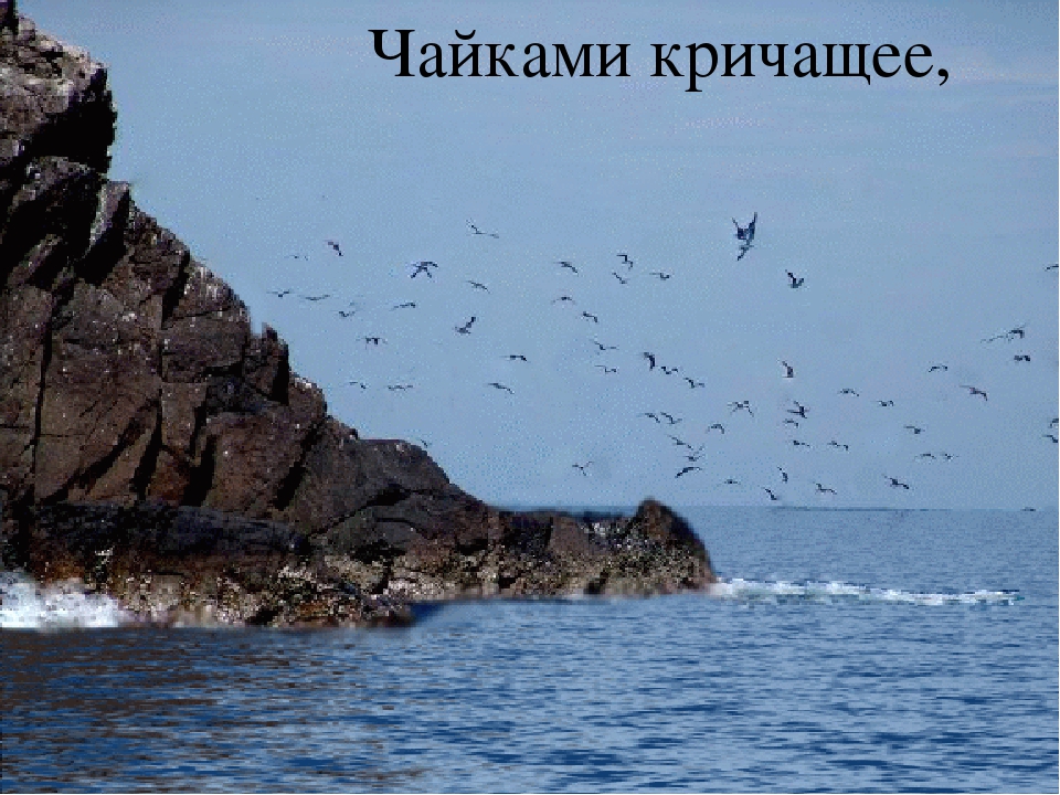 Презентация по познавательному развитию "Море"