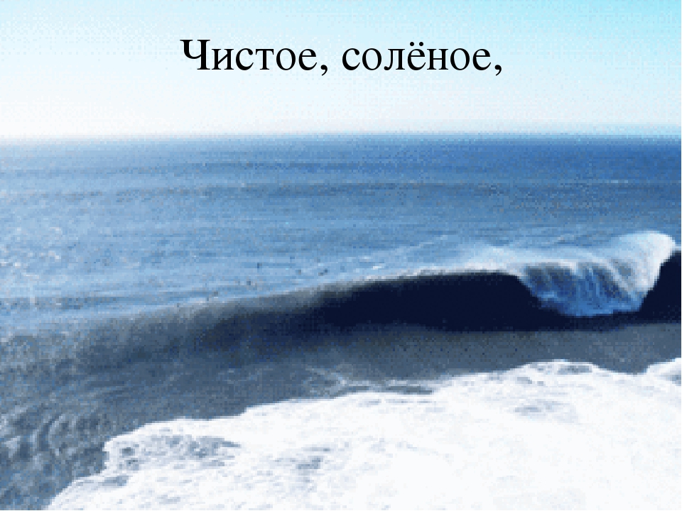 Презентация по познавательному развитию "Море"