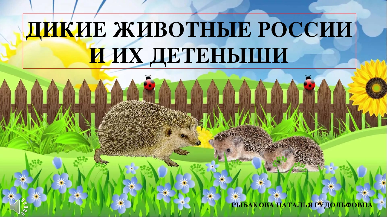 Презентация "Дикие животные России и их детеныши"