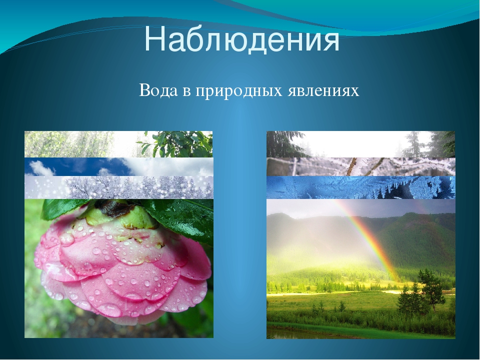 Презентация "Мир в капельке воды"