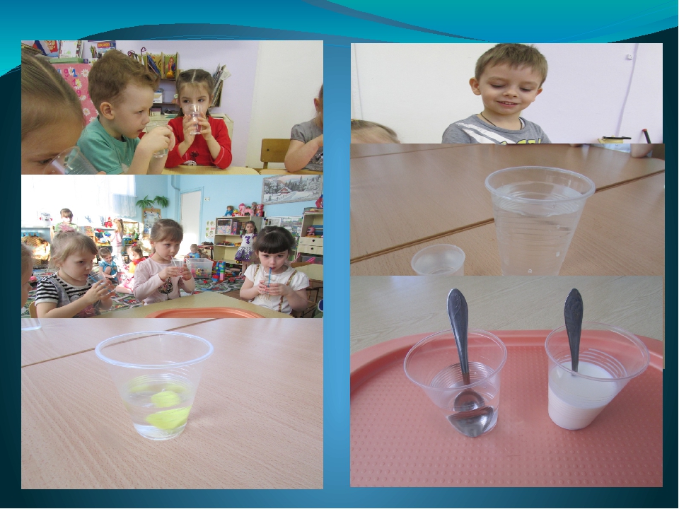 Презентация "Мир в капельке воды"