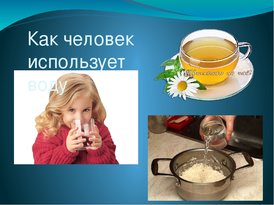 Презентация "Мир в капельке воды"