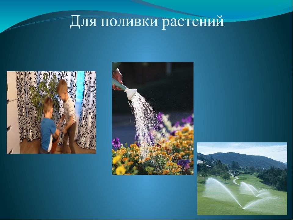 Презентация "Мир в капельке воды"