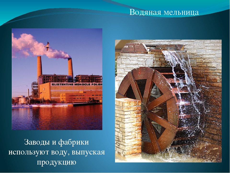 Презентация "Мир в капельке воды"