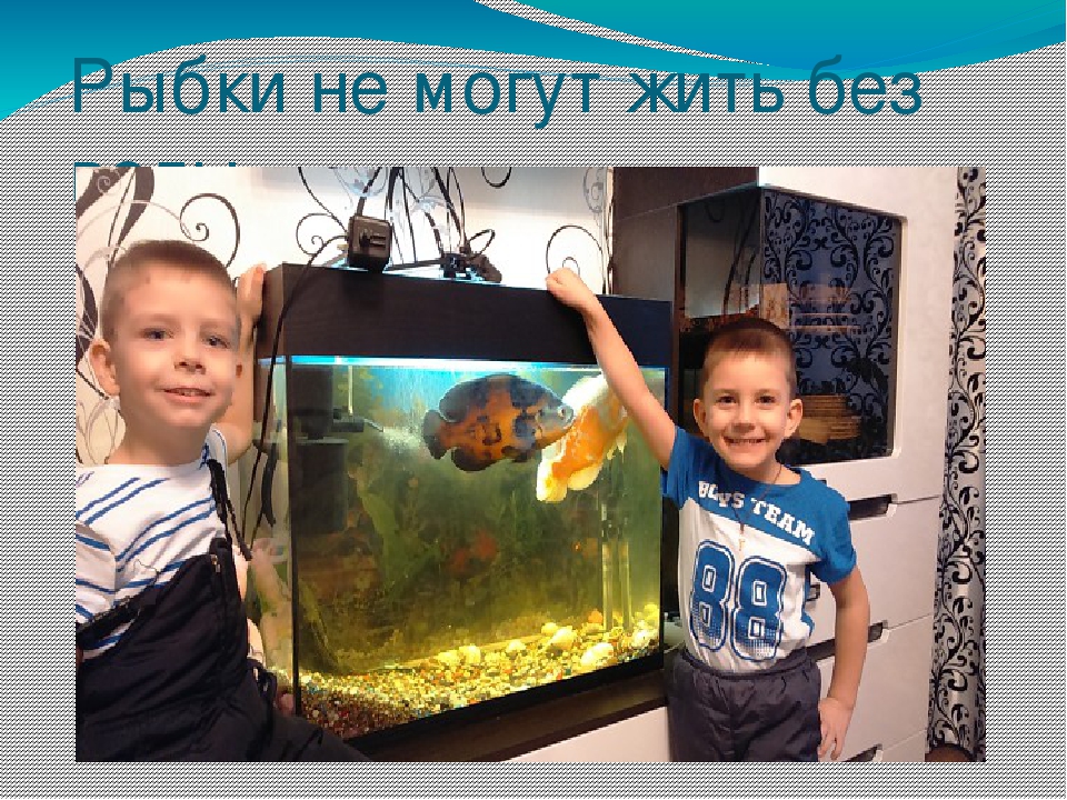 Презентация на тему "Вода в нашем доме"