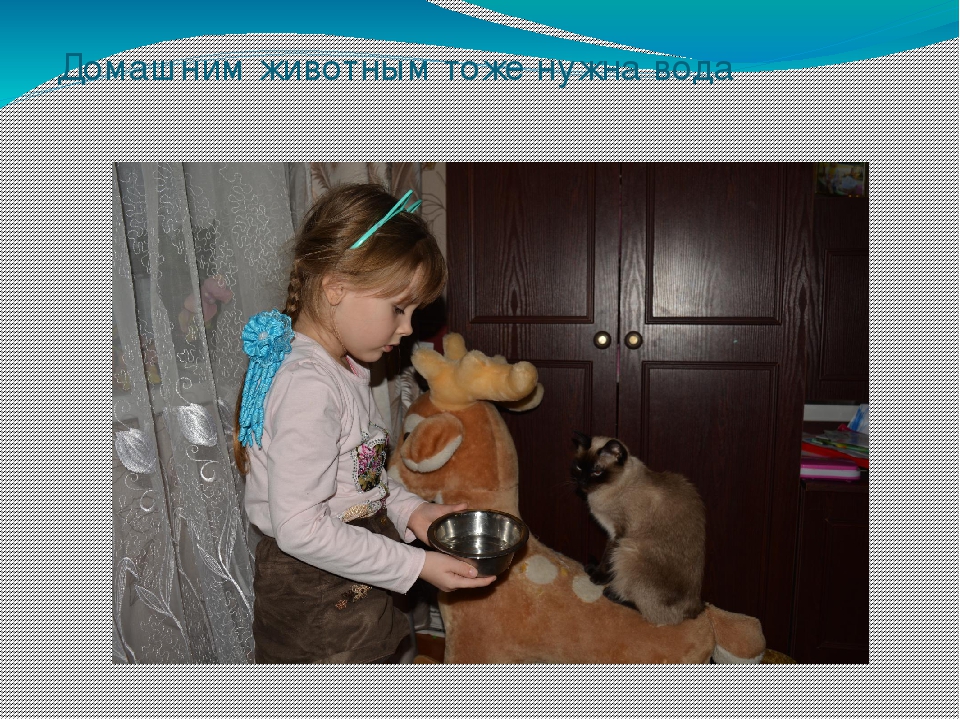 Презентация на тему "Вода в нашем доме"