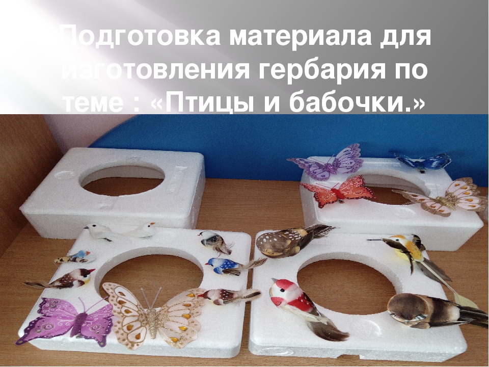 "Самостаятельная деятельность детей и ее организация в дошкольном учереждении"