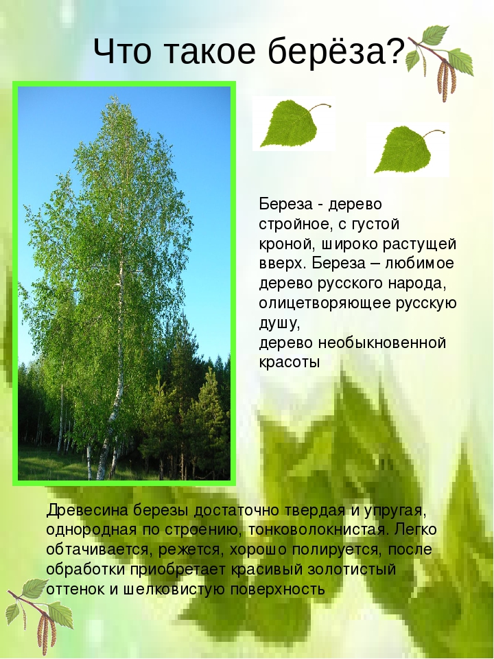 Консультация для родителей "Целебное лукошко"