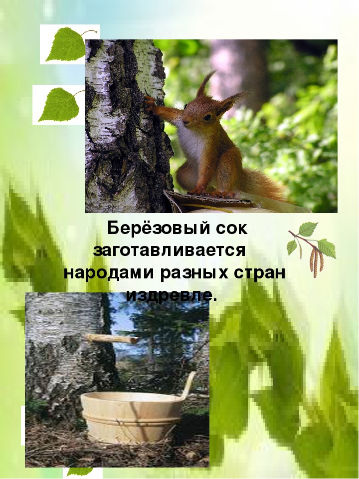 Консультация для родителей "Целебное лукошко"
