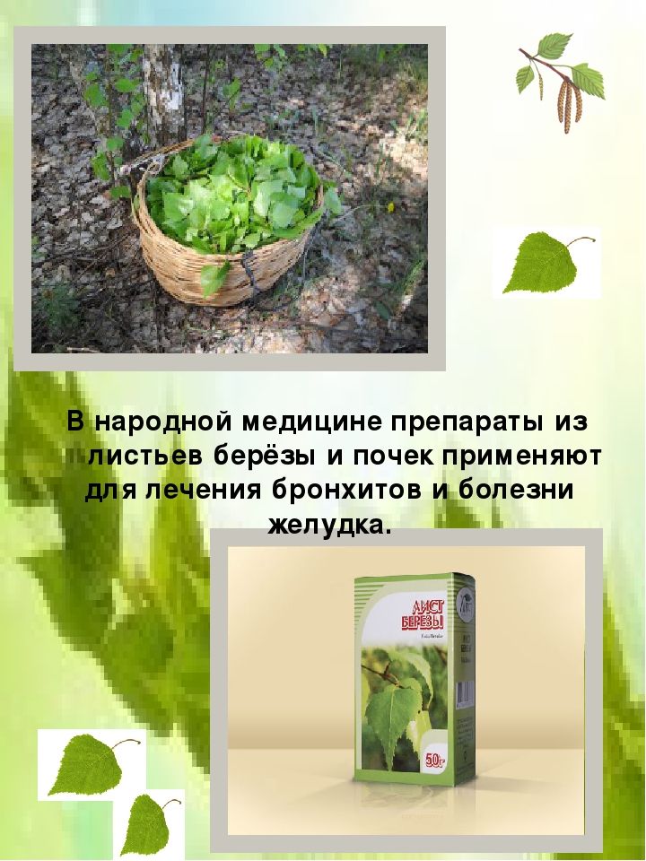 Консультация для родителей "Целебное лукошко"