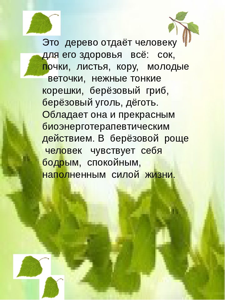 Консультация для родителей "Целебное лукошко"