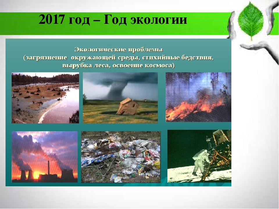 Экология нашего города для дошкольников