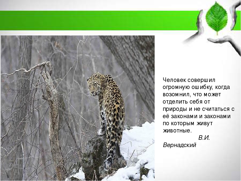Экология нашего города для дошкольников
