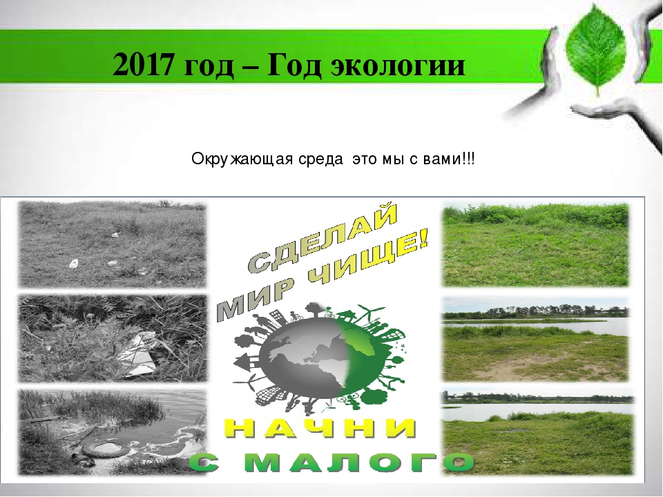 Экология нашего города для дошкольников