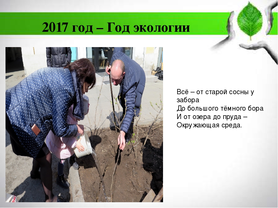 Экология нашего города для дошкольников