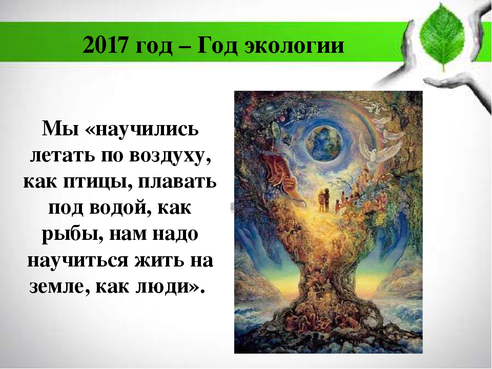 Экология нашего города для дошкольников