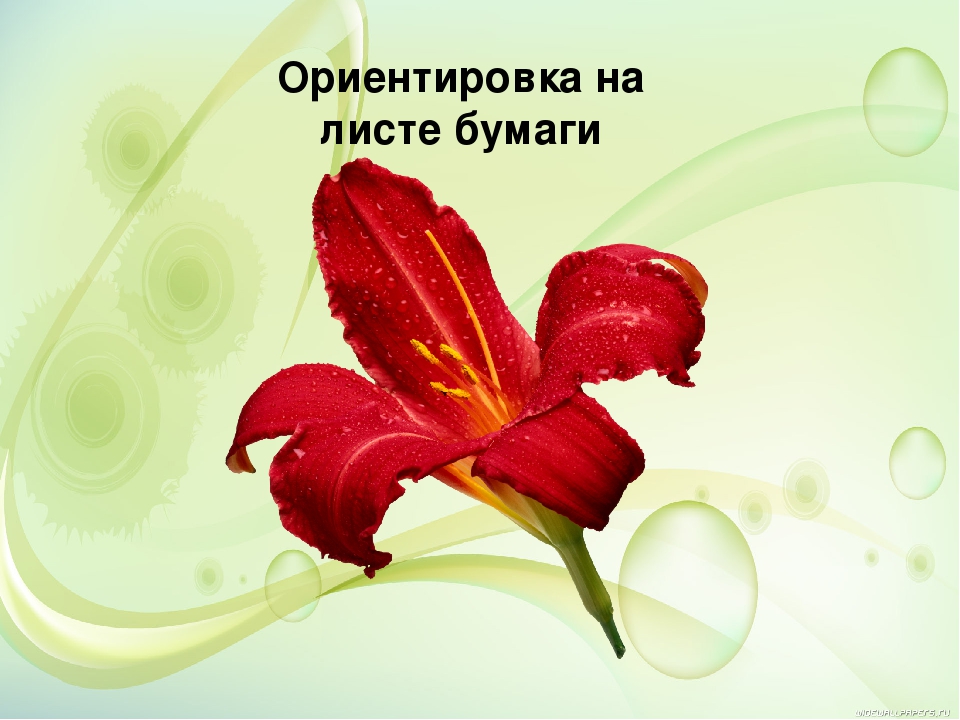 Презентация к проекту "Поможем Симке подготовиться к школе"