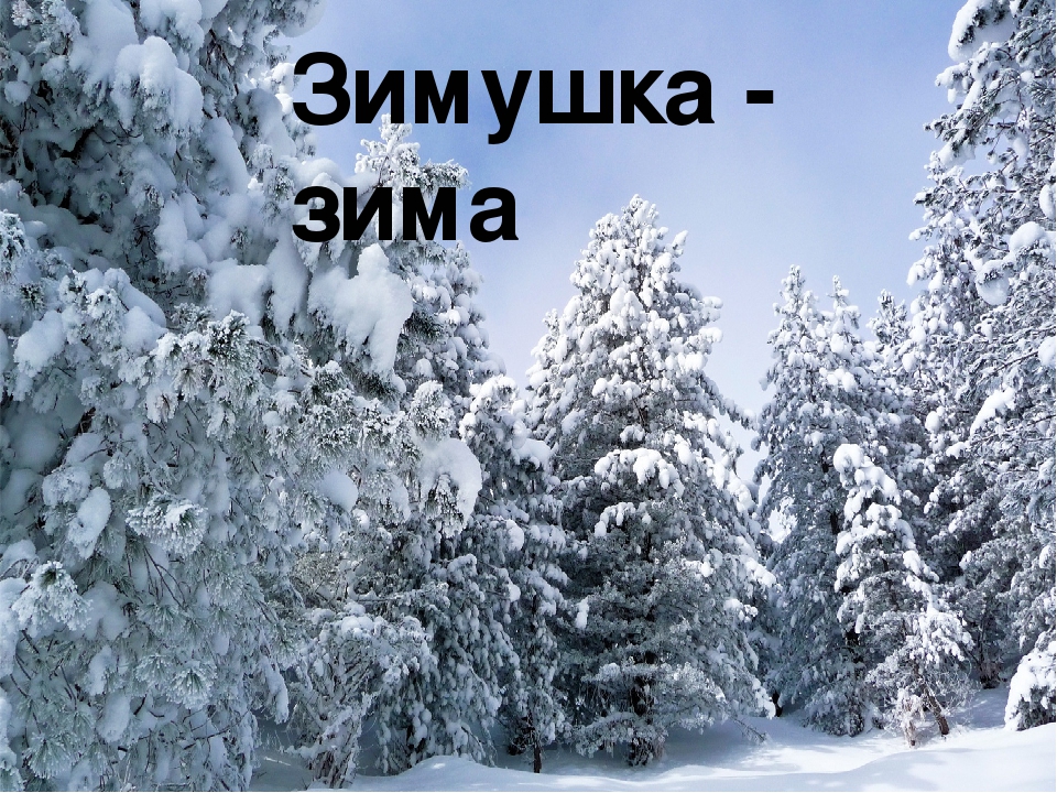 Презентация по окружающему миру "Приметы зимы"