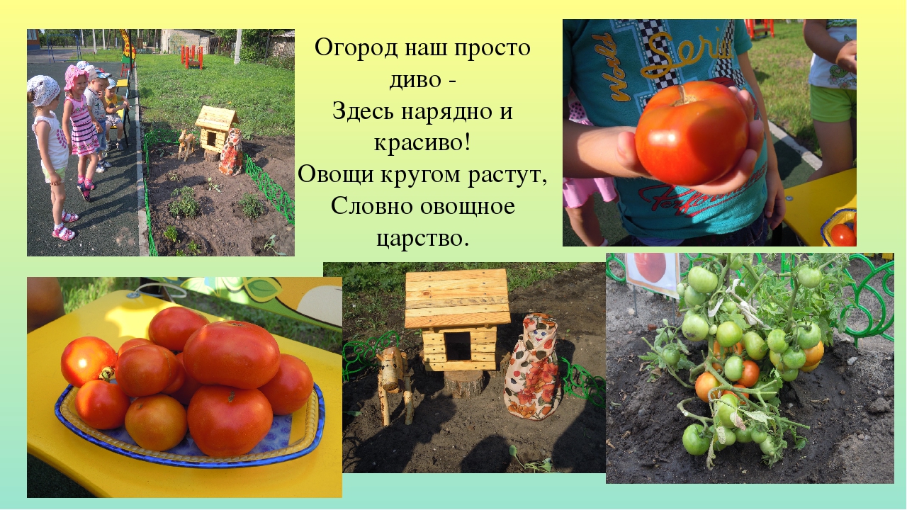 Прецентация "Отчет о летней оздоровительной работе"