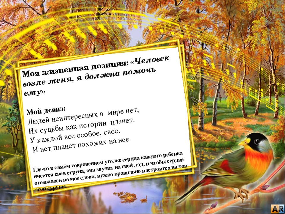 Презентация на тему:"Мое портфолио"