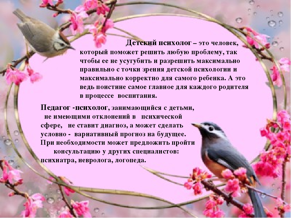 Презентация на тему:"Мое портфолио"