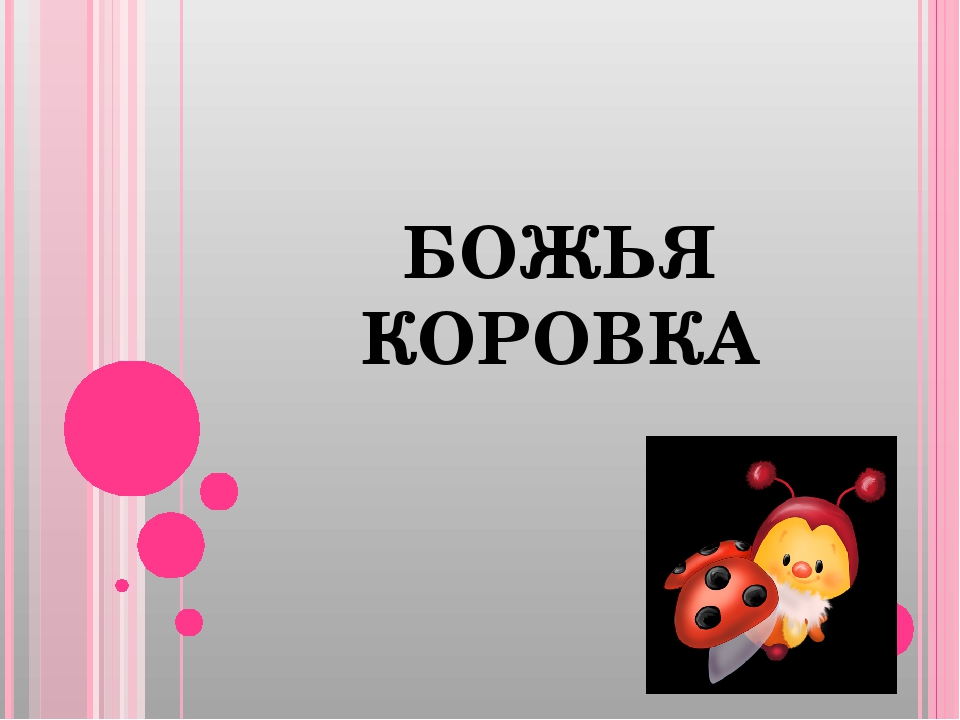 Презентация по экологии "Божья коровка"