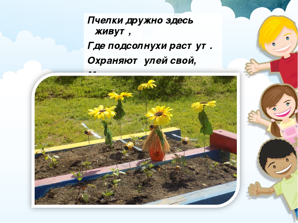 Презентация "Конкурс на лучший летний участок"
