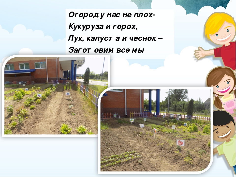 Презентация "Конкурс на лучший летний участок"