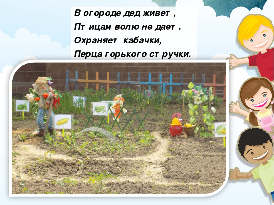Презентация "Конкурс на лучший летний участок"