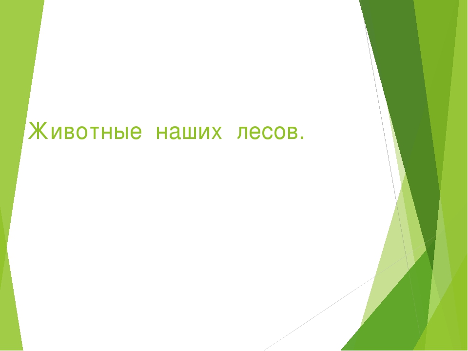 Презентация на тему "Животные наших лесов"