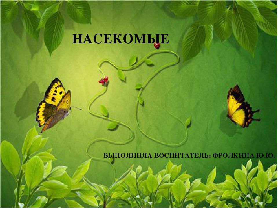 Презентация по ФЦКМ Насекомые