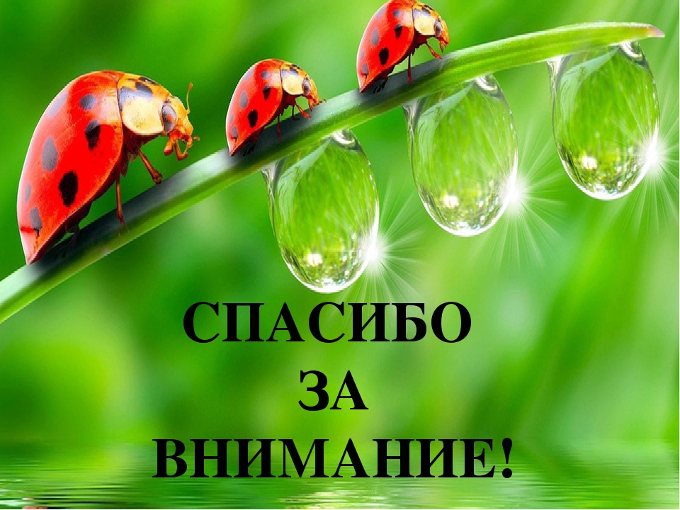 Презентация по ФЦКМ Насекомые
