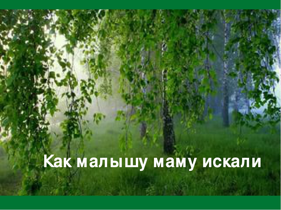 Презентация и текст к занятию по развитию речи в школе будущего первоклассника "Как малышу маму искали"