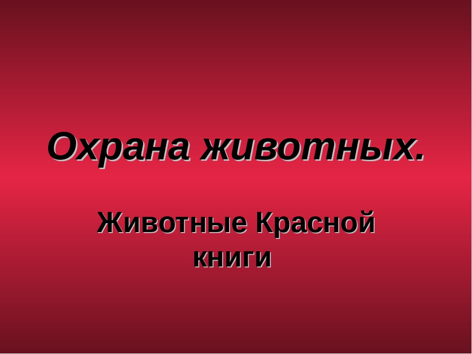 Презентация "Животные Красной Книги"
