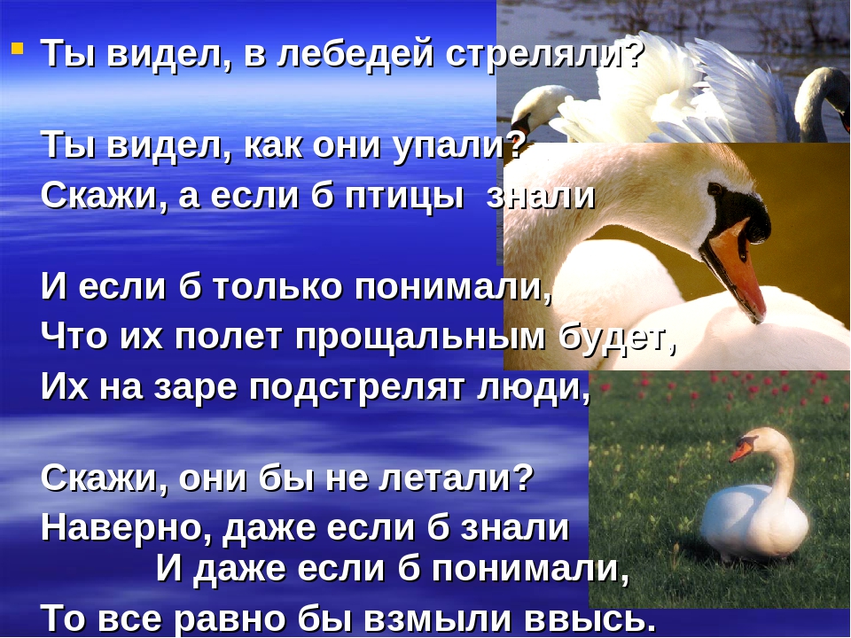 Презентация "Животные Красной Книги"