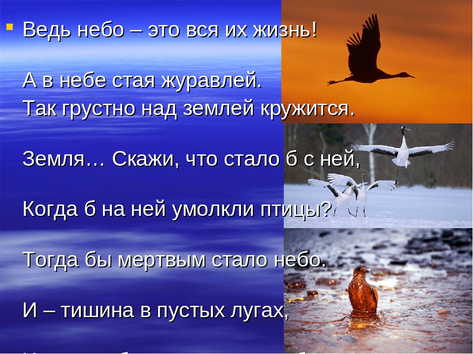 Презентация "Животные Красной Книги"