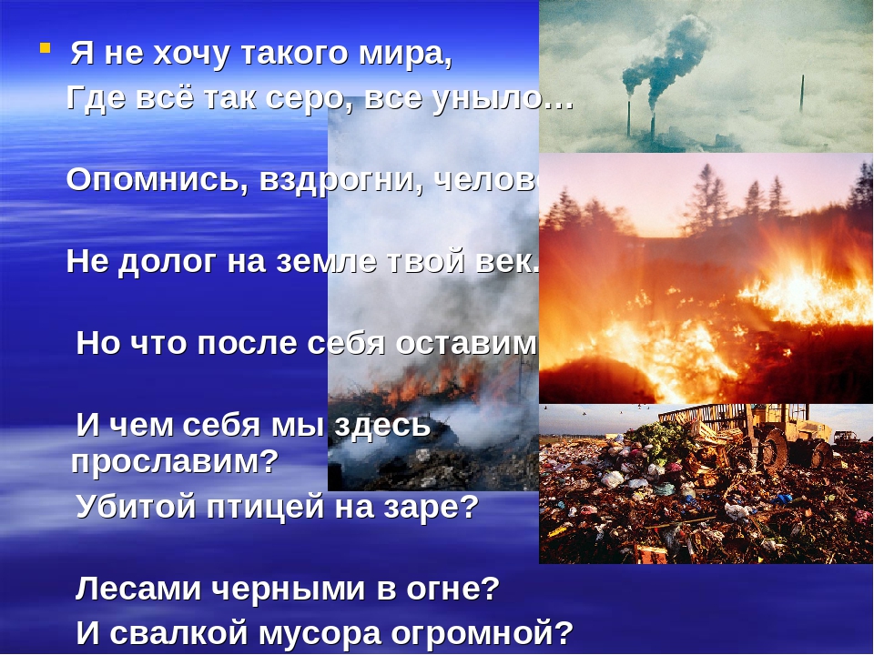 Презентация "Животные Красной Книги"