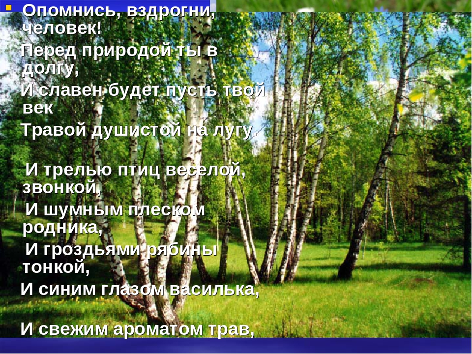 Презентация "Животные Красной Книги"